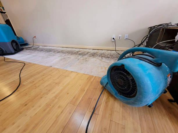 Professional Basement Flood Cleanup technician working in Sheridan, CO